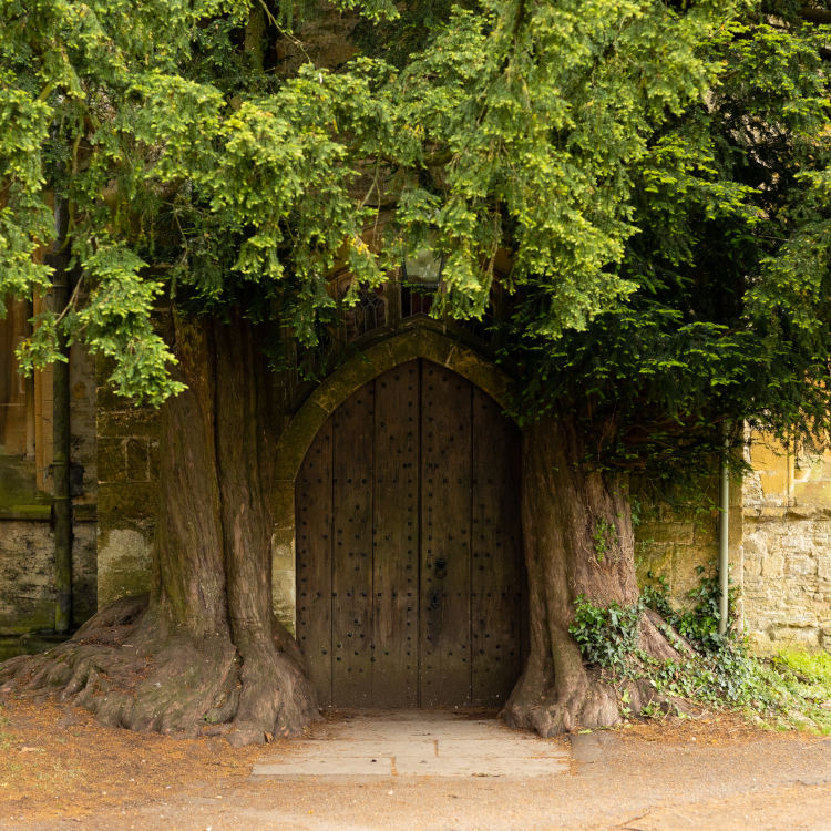 Cotswolds in a Day