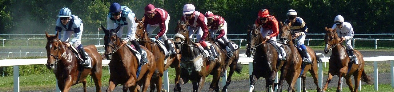 Try some other local racecourses to the Cotswolds