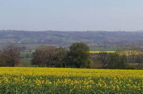 Protect the Cotswolds national landscape by supporting Caring for the Cotswolds members