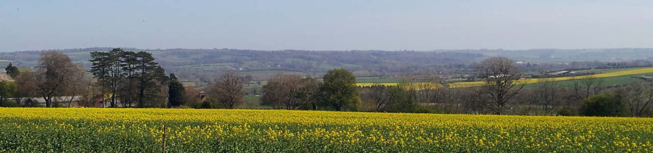 Discover more of the beautiful Cotswolds countryside with Go Cotswolds