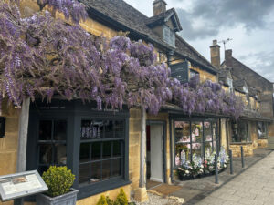 Discover the magic of the Cotswolds in May. Picture of the wisteria blooking on a Cotswolds cottage