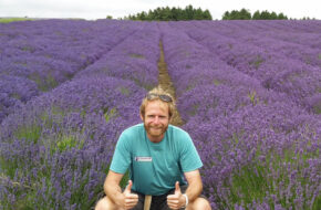 Tom in a Lavender field in the new Go Cotswolds Castles and Lavender fields tour