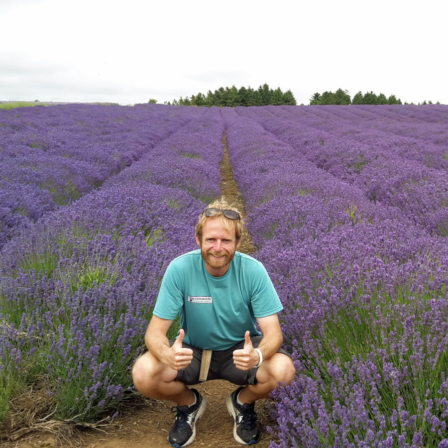 Cotswold Castle & Lavender Fields