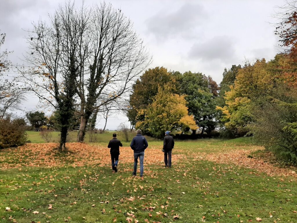 Visiting the Cotswolds in October- an autumn picture of trees and fields