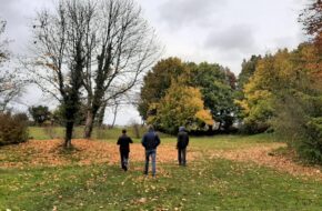 Visiting the Cotswolds in October- an autumn picture of trees and fields