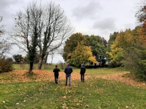 Visiting the Cotswolds in september - an autumn picture of trees and fields