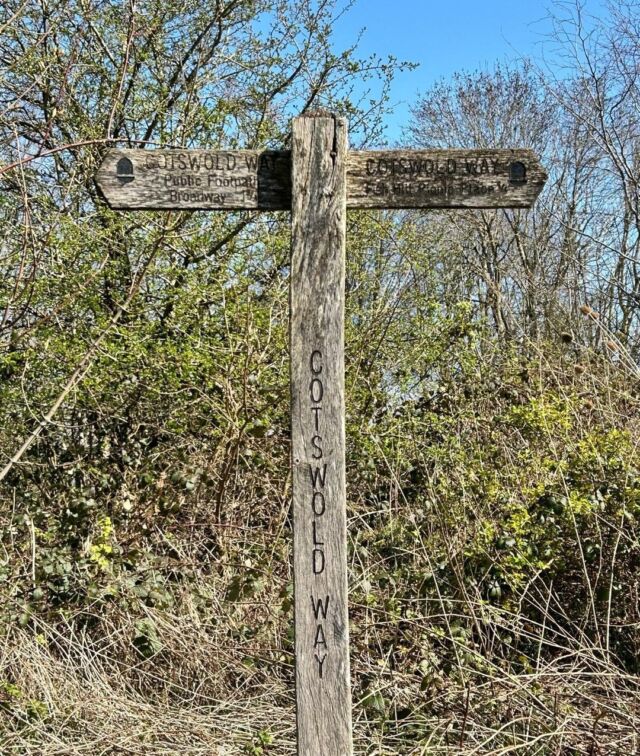 Ever heard of the Cotswold Way? It’s a 102-mile walking trail stretching from the Roman city of Bath to the market town of Chipping Campden – and it’s absolutely breathtaking! 
Winding through rolling hills, honey-stone villages, ancient woodlands, and scenic viewpoints, it’s the ultimate countryside adventure for walkers and nature lovers alike.
But don’t worry – you don’t need to tackle all 102 miles in one go!
If you’d like a taste of the trail without the blisters, our Cotswolds Walks & Villages Tour is just the ticket!
Join Go Cotswolds for a relaxed day out exploring picture-perfect villages and taking a gentle walk along one of the prettiest sections of the Cotswold Way. Think peaceful paths, stunning views, and a friendly local guide to bring it all to life! 
Book now for a tour this summer and step into the storybook charm of the Cotswolds – one footstep at a time.
https://www.gocotswolds.co.uk/product/cotswolds-trails-and-villages/

#walking #tour #cotswolds #walkingtour #cotswoldsway #tours #summeradventures #dayout